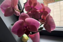 Cabinet psihoterapie